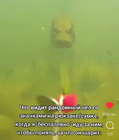 Бесплатно иду за человеком