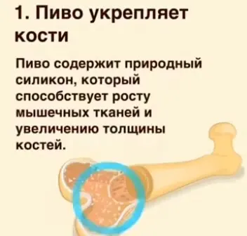 Пиво полезно для здоровья