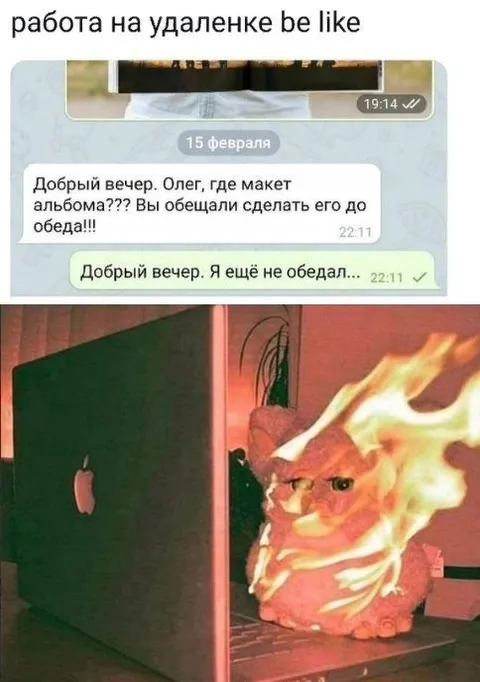 Работа на удалёнке до обеда