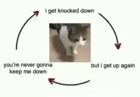 Cat Gets Knocked Down Again