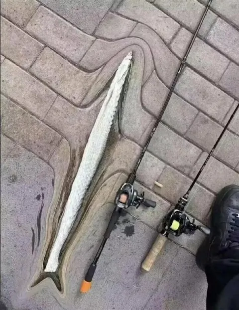 Рыба на тротуаре