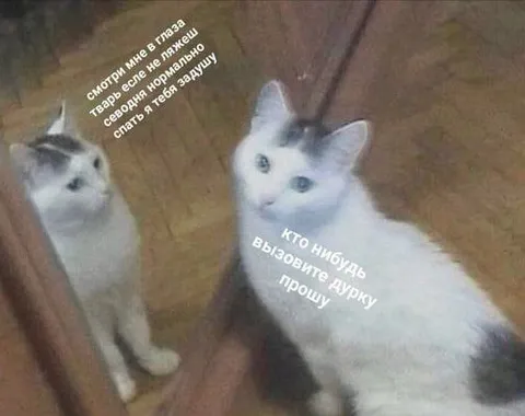 Вызовите дурку, прошу