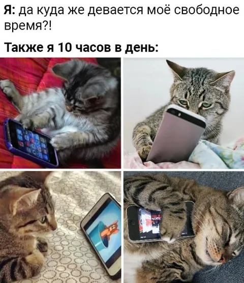 Куда девается свободное время