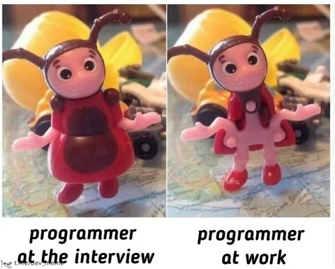 Programmer at Interview vs Work