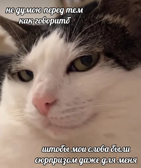 Слова-сюрприз даже для меня