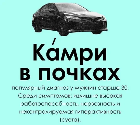 Камри в почках