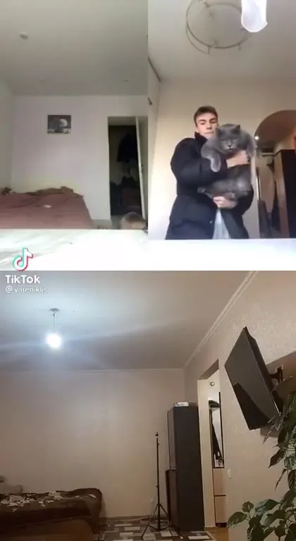Кот становится всё ближе