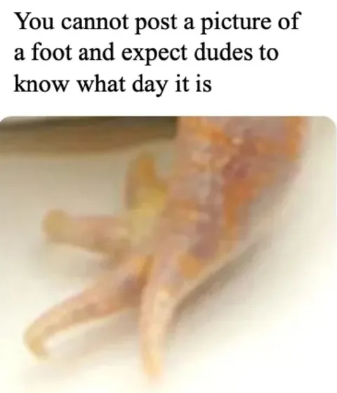 Picture of a Foot