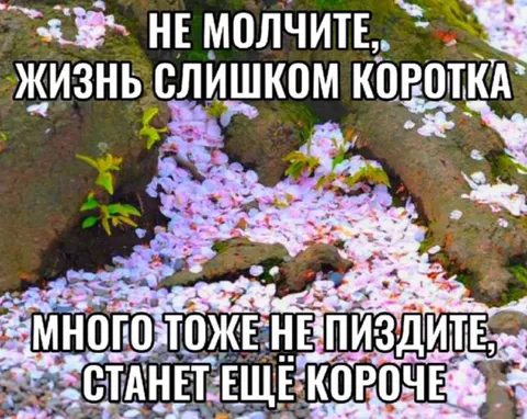 Жизнь слишком коротка