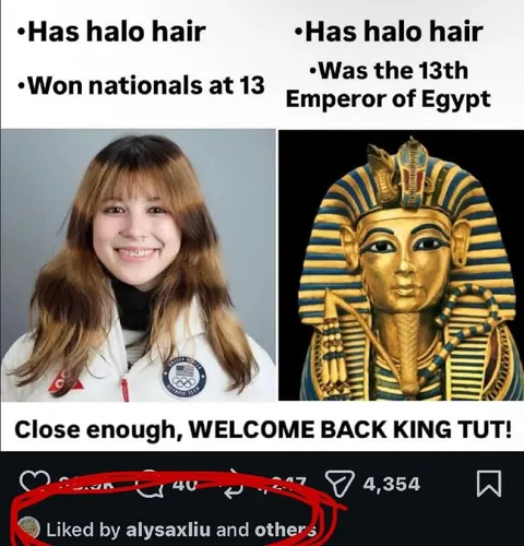 Welcome Back King Tut