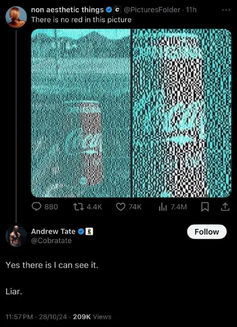 There Is No Red in This Picture