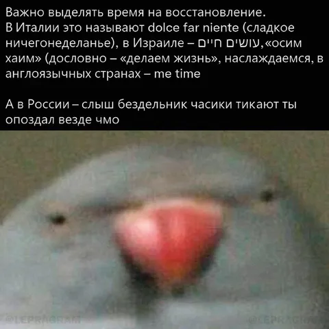 В России часики тикают