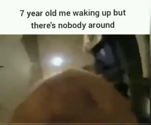 Seven-Year-Old Cat Wakes Alone