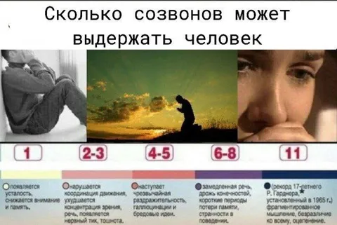 Сколько созвонов выдержит человек