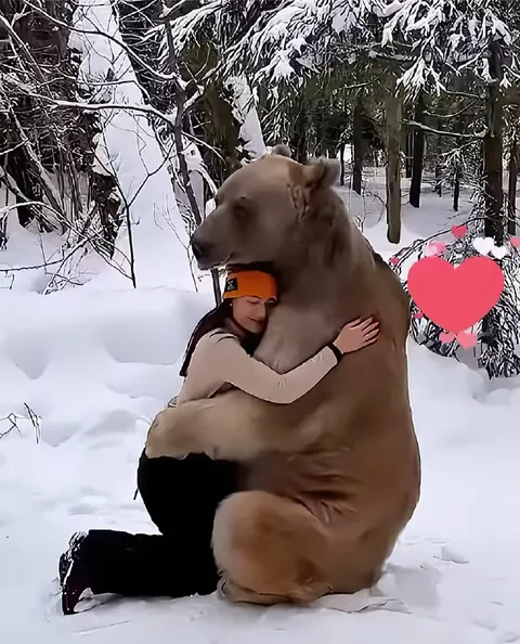 Объятия с большим медведем