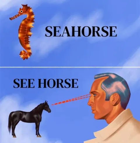 Seahorse See Horse Pun