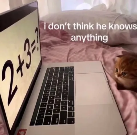 Cat Pretends Not to Know Math