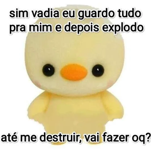 Eu guardo tudo e explodo