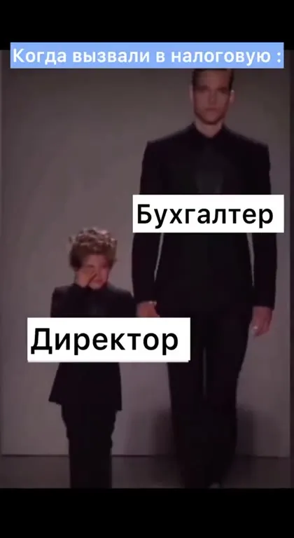 Директор и бухгалтер идут в налоговую