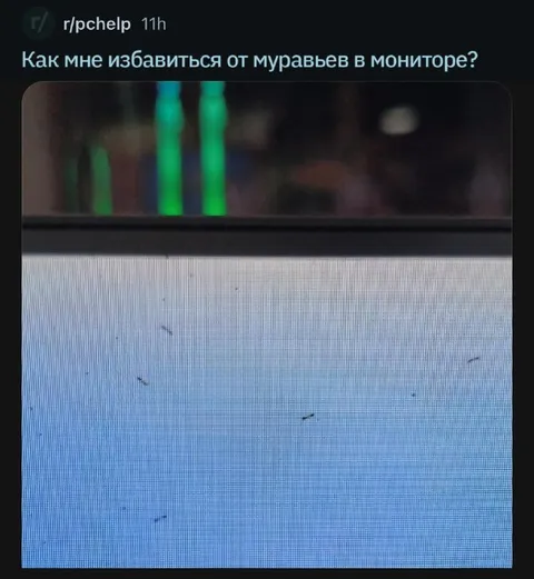Муравьи в мониторе
