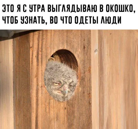 С утра выглядываю в окошко