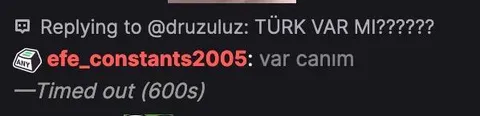Türk Var mı ve Zaman Aşımı