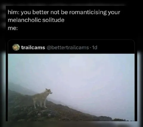 Romanticising Solitude