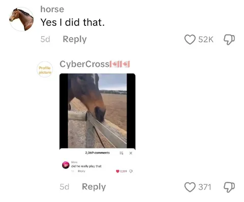 Horse Says Yes I Did That