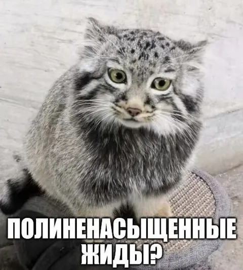 Полиненасыщенные жиры?