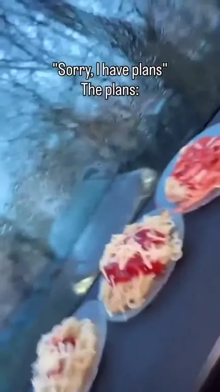 Sorry, I Have Plans