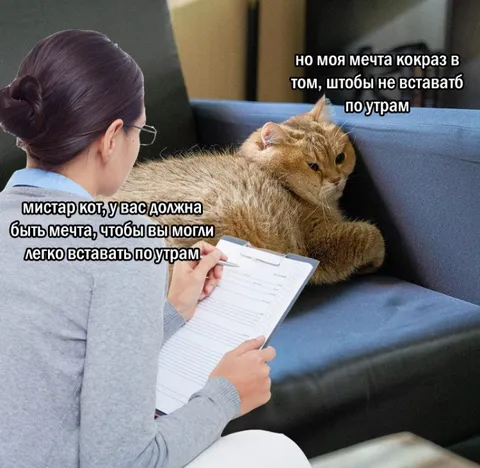 Кот мечтает не вставать