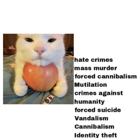 Cat Charged With Every Crime