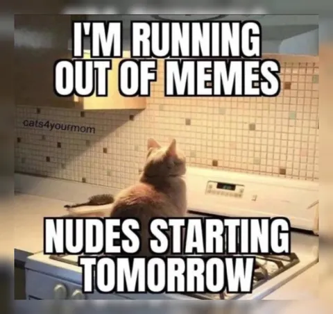 Running Out of Memes