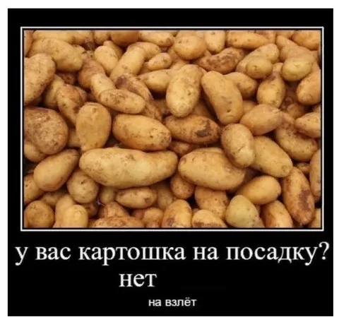 Картошка на взлёт