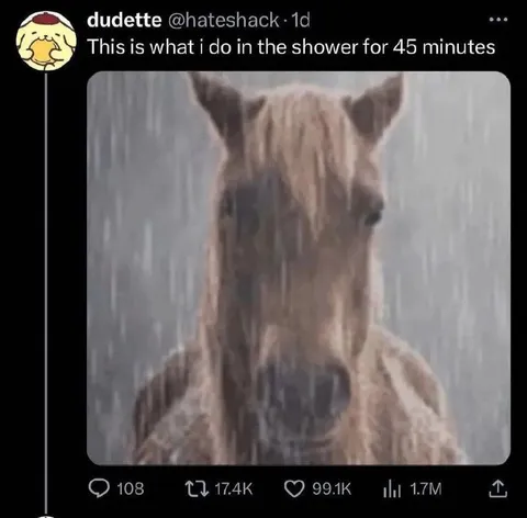 What I Do in the Shower