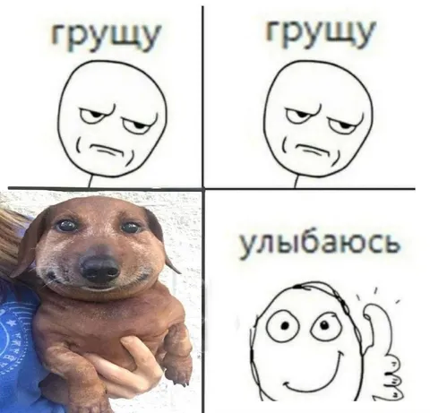 Грущу, пока не увижу собаку