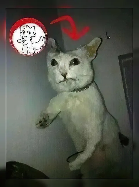 Кот с нарисованной стрелкой