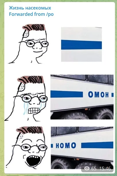 Жизнь насекомых и ОМОН