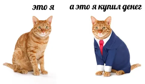 Это я и я купил денег
