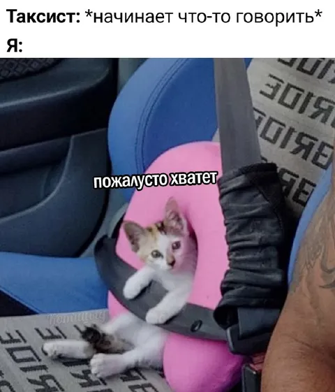 Котёнок просит таксиста замолчать