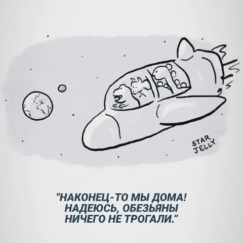 Наконец-то мы дома