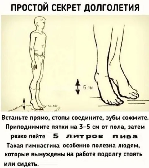 Простой секрет долголетия с пивом