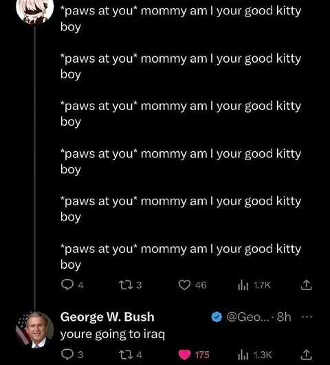 Good Kitty Boy Goes to Iraq