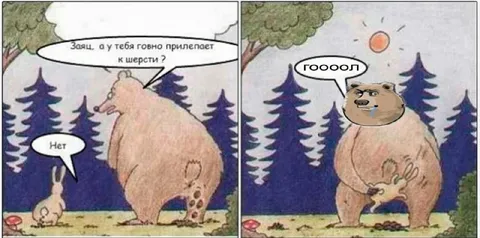 Заяц и медведь про гол