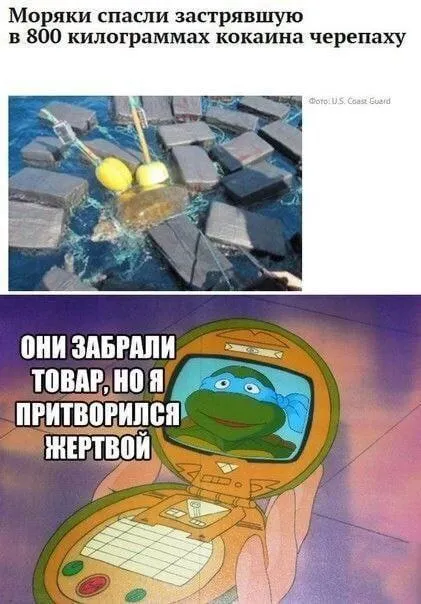 Черепаха притворилась мёртвой