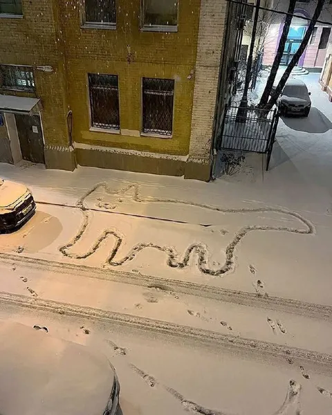 Рисунок на снегу