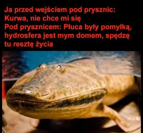 Hydrosfera jest mym domem