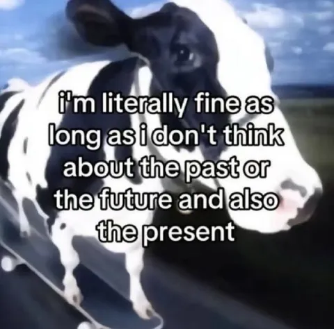 Literally Fine Cow
