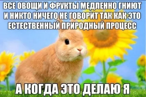 Кролик гниёт естественно