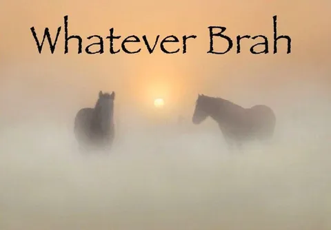 Whatever Brah Horses